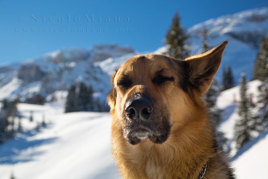 92359-tobj-crep-de-mont.jpg