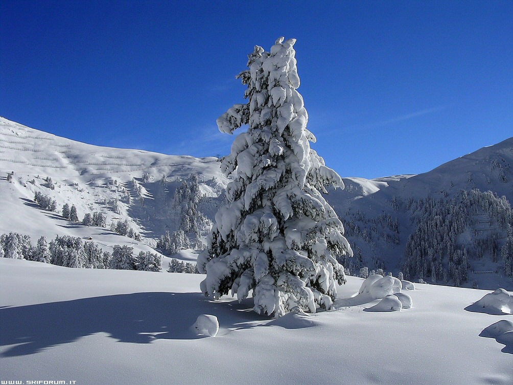 9474-neve-skicenter-latemar.jpg