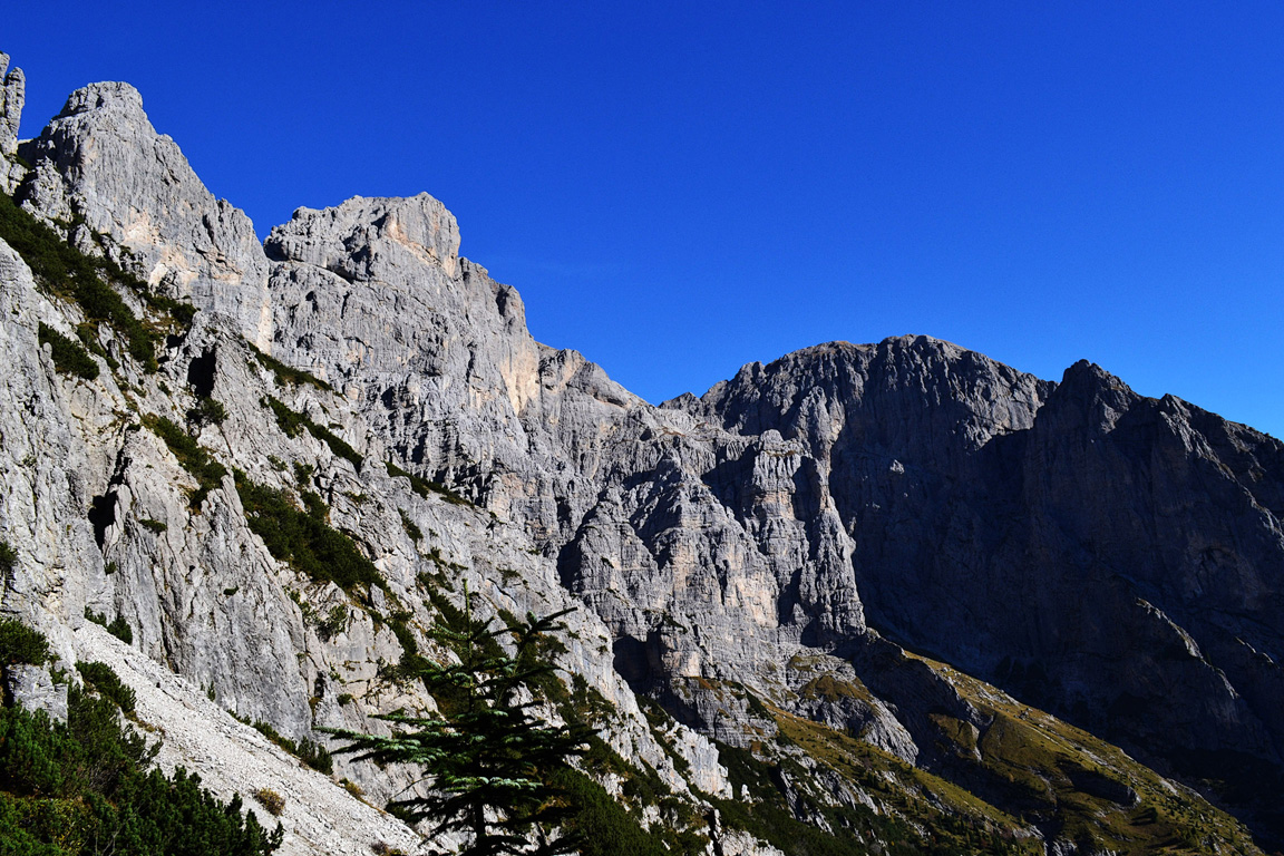 97017-dsc0215a.jpg