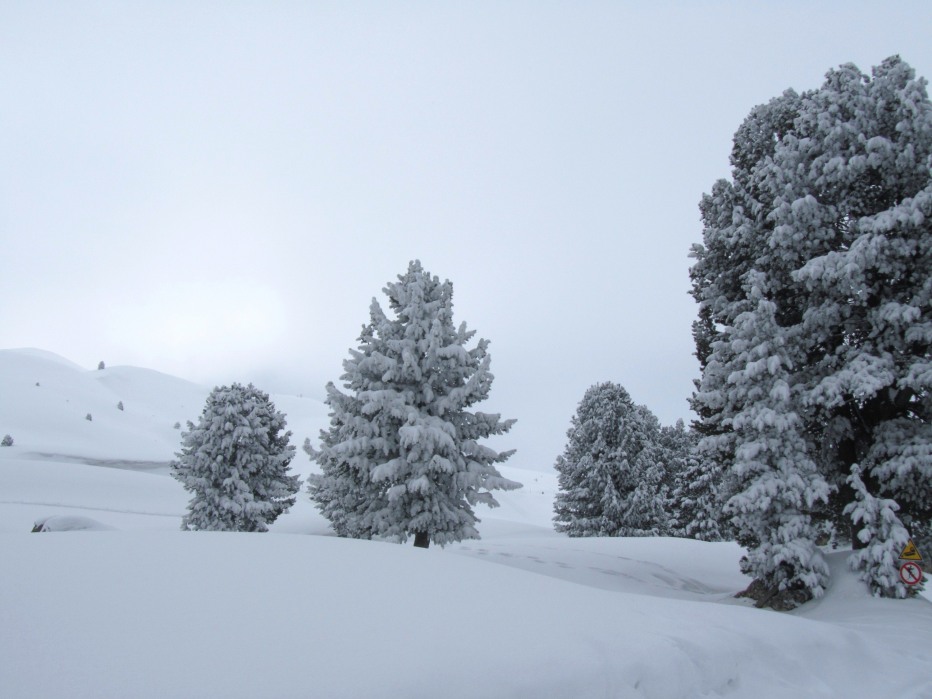 98985-marmolada-27.03.2013-050.jpg