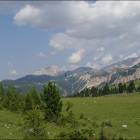immagine forcella lerosa