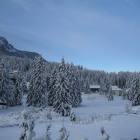 hotel carezza