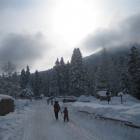 foto Carezza