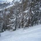foto boschetto Carezza