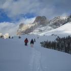 Verso altri boschetti Verso altri boschetti