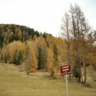 foto autunno