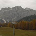 Boschi arancioni a Cortina d'Ampezzo