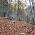 Si lascia sulla destra la diramazione per il bivacco Greselin Si lascia sulla destra la diramazione per il bivacco Greselin