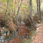 Gola di un fiume in secca Gola di un fiume in secca