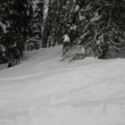 uscita dal bosco