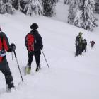 andiamo alla prova di ricerca Arva
