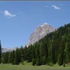 La Tofana di Rozes Splendida Tofana di Rozes