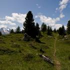 Mountain bike in Dolomiti
