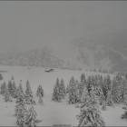 foto neve