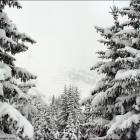 Neve monte Cherz