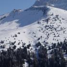 Boschetti del Sochers Boschetti del Sochers