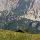 Monte Civetta visto dai prati Ciamp