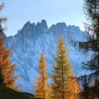 foto latemar in autunno