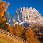 foto catinaccio in Autunno