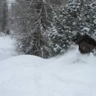 Rebec e, fermo, Bandit