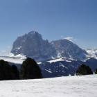 Sassolungo visto da Col Raiser immagine Sassolungo