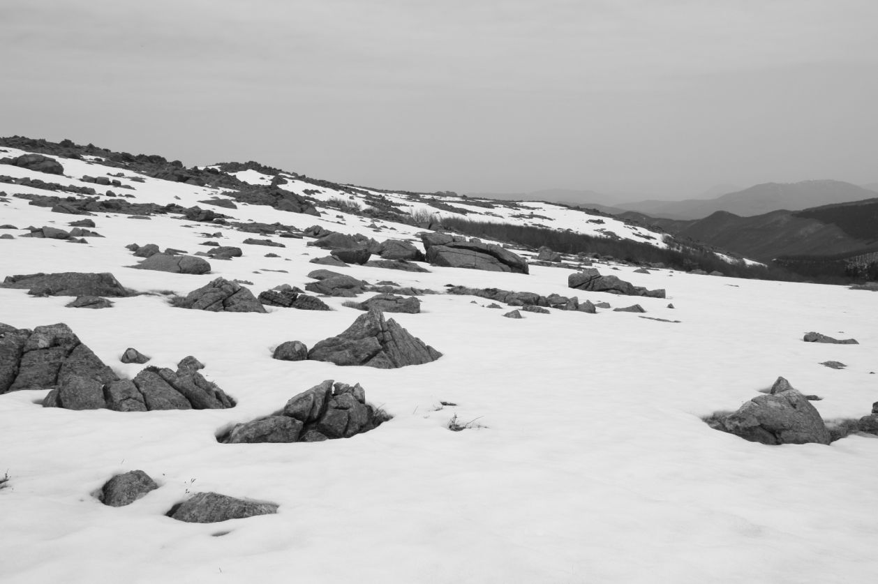 100653-monte-aiona-dal-passo-ghiffi-25-apr-2013-106.jpg