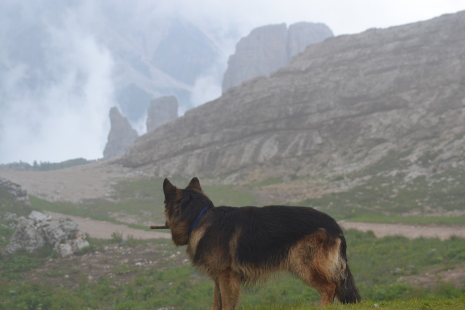 100919-dolomiti-7-2012-123.jpg