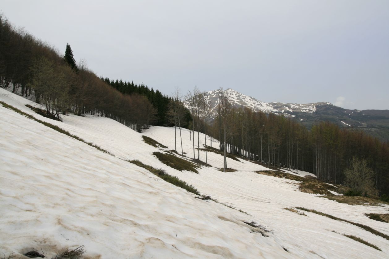 101620-valle-di-fellicarolo-01-05-2013-104.jpg