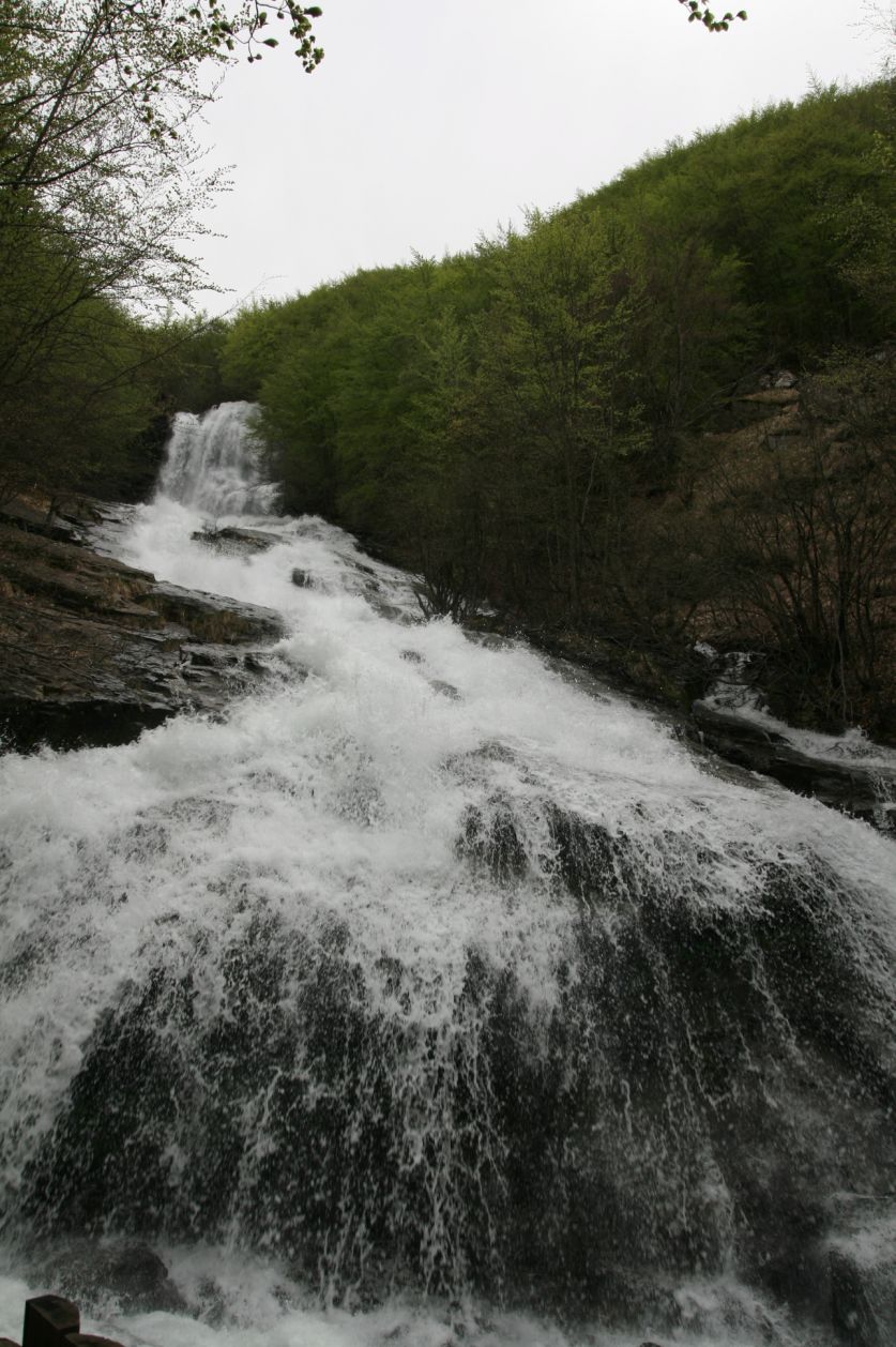 101623-valle-di-fellicarolo-01-05-2013-190.jpg