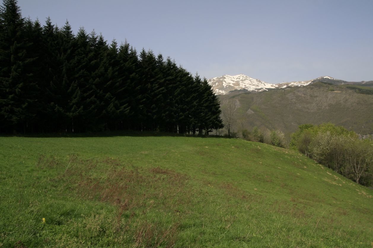 101624-valle-di-fellicarolo-01-05-2013-20.jpg
