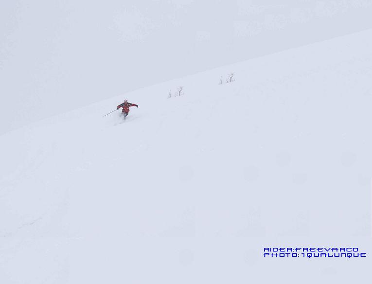 10182-in-the-powder1.jpg