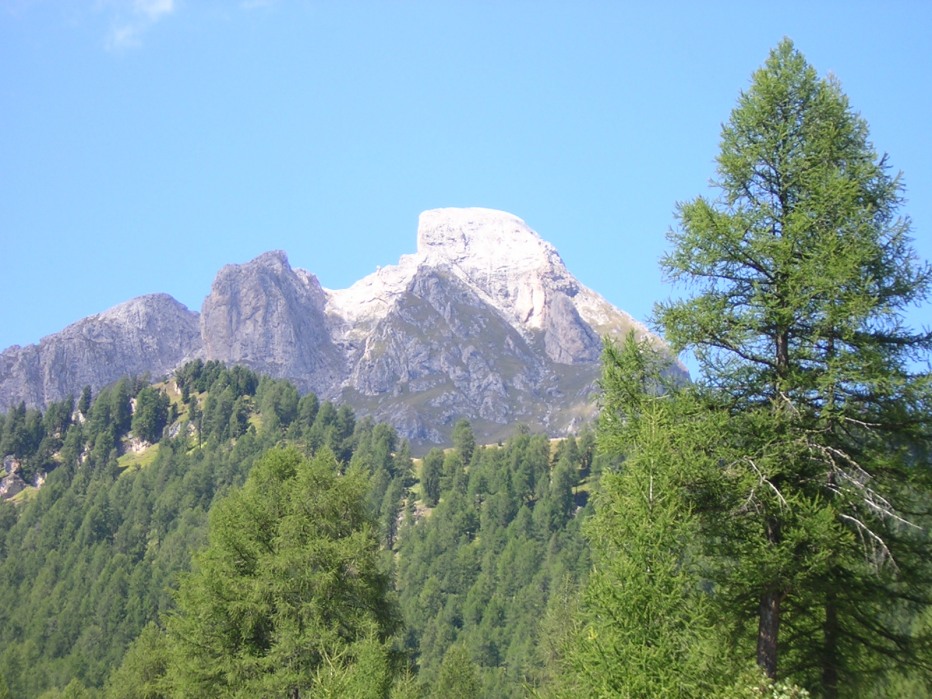 103544-dscn1382.jpg
