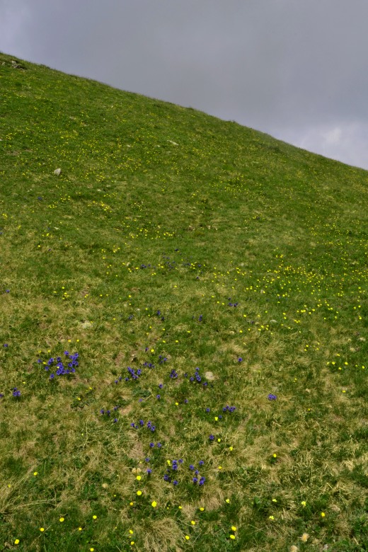 103873-monte-cimone-6-7-13-071.jpg