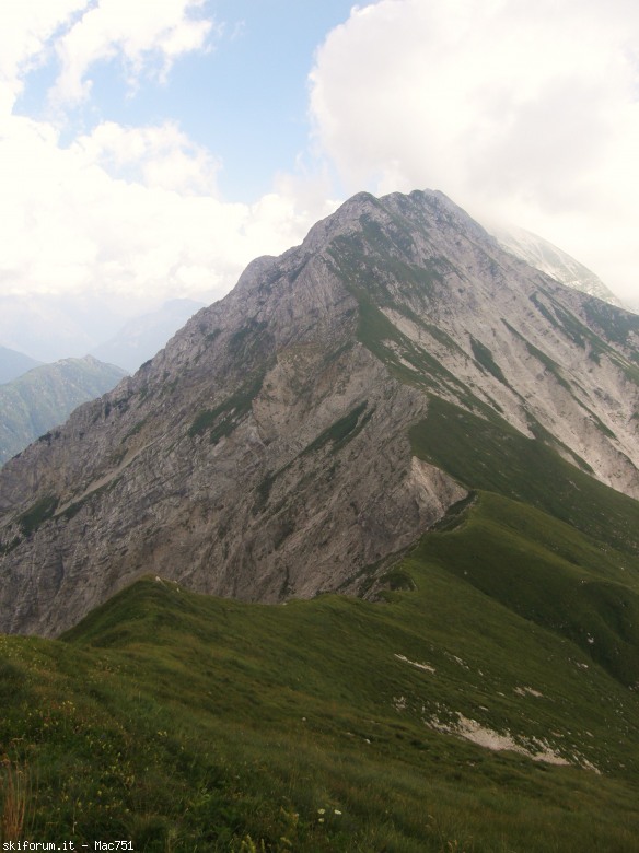 106054-p8130382.jpg