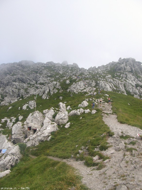 106057-p8170409.jpg