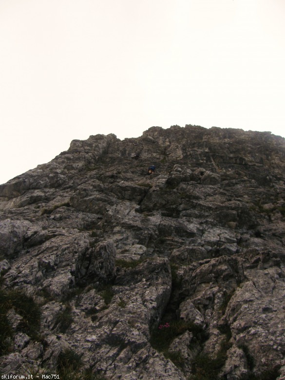106072-p8210518.jpg