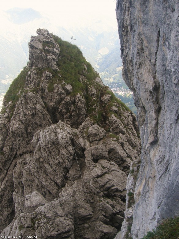 106074-p8210531.jpg