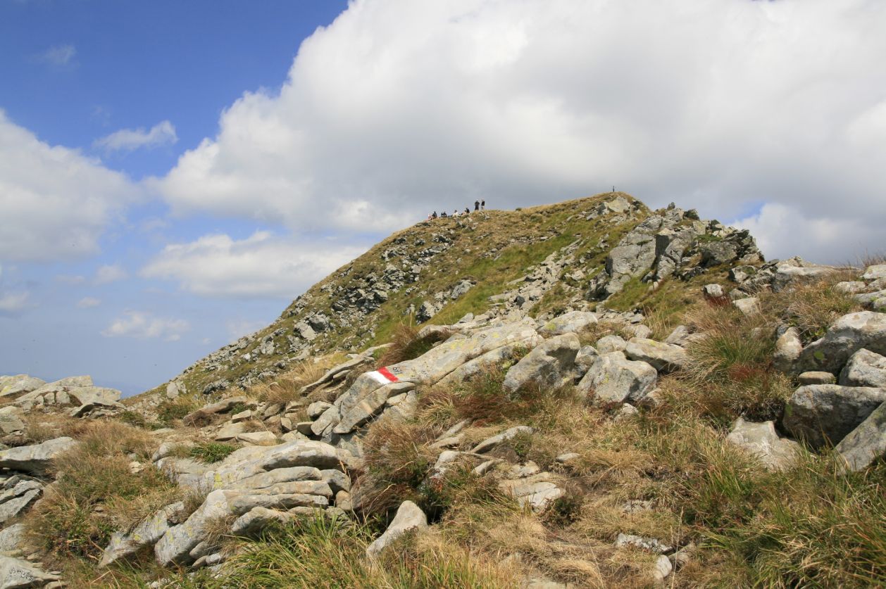 106260-da-succiso-al-succiso-31-ago-2013-99.jpg