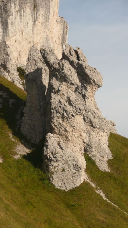 106743-conigli.jpg