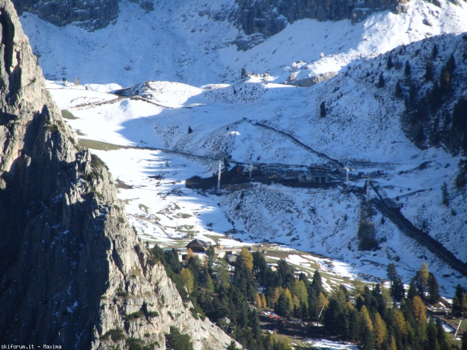 108133-stevia-17.10.13-larici-018.jpg