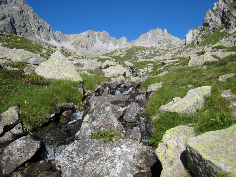 10843-rientro-dal-segantini.jpg
