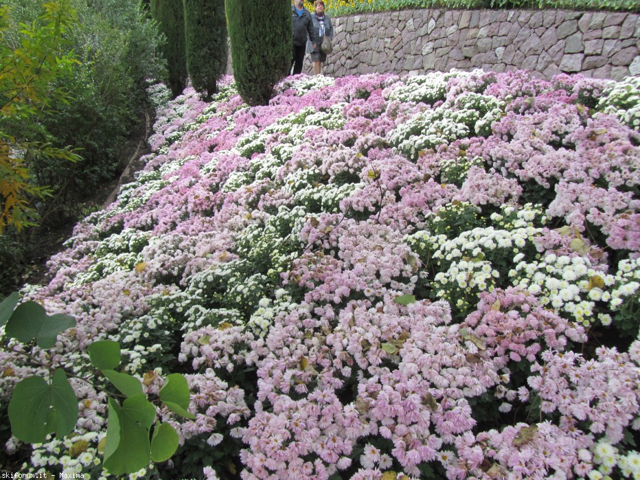 108618-trautmannsdorf-garten-meran-28.10.2013-049.jpg