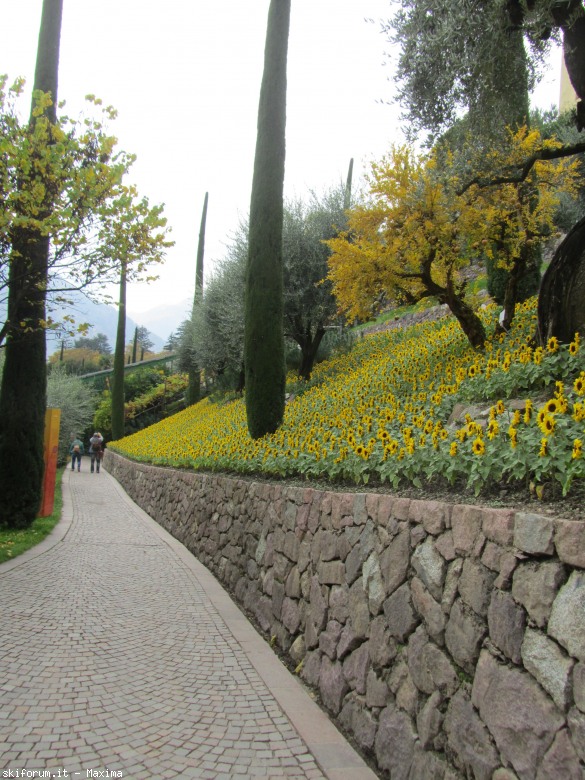 108622-trautmannsdorf-garten-meran-28.10.2013-050.jpg