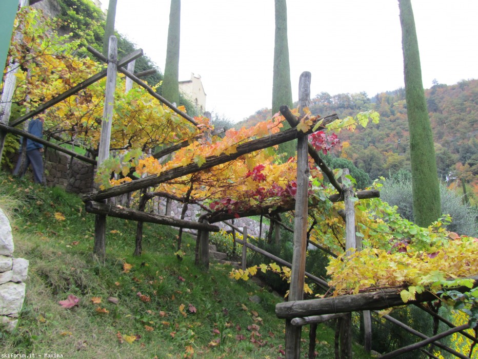 108635-trautmannsdorf-garten-meran-28.10.2013-067.jpg