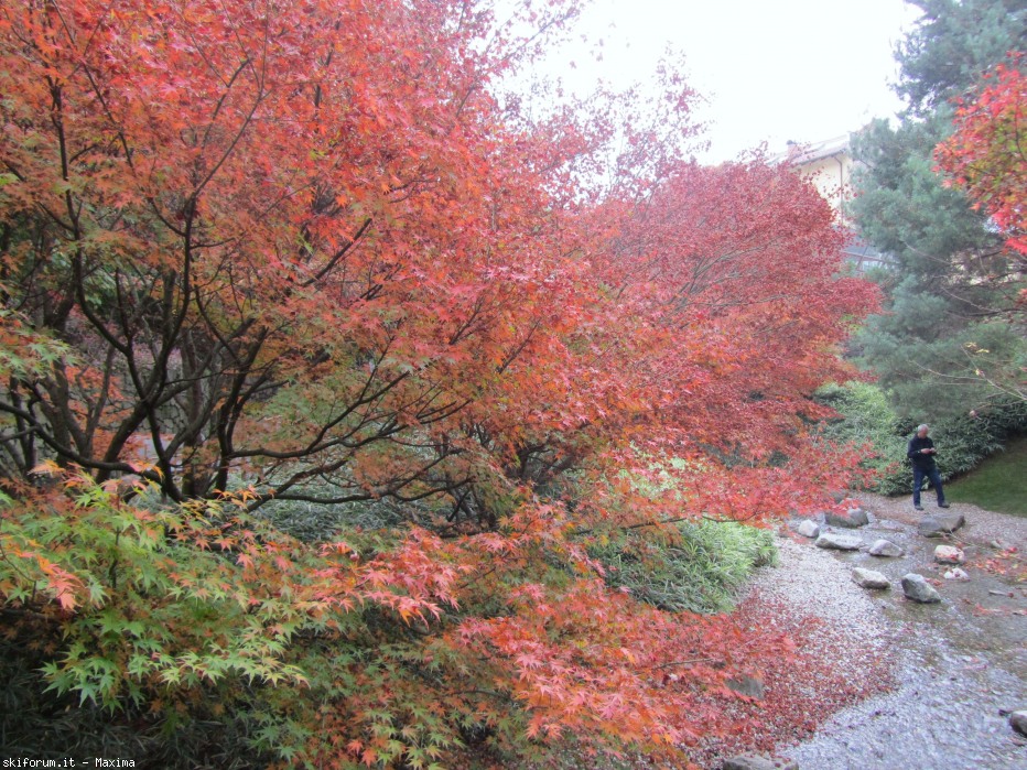 108714-trautmannsdorf-garten-meran-28.10.2013-118.jpg