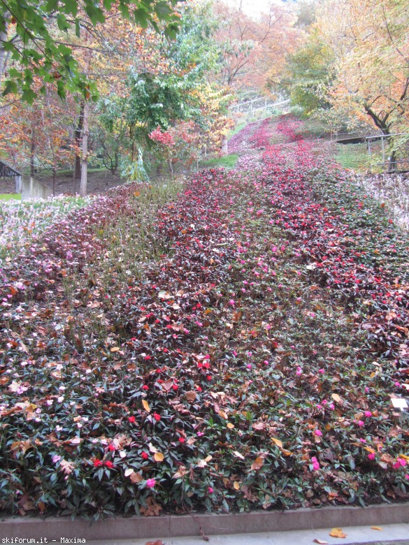 108715-trautmannsdorf-garten-meran-28.10.2013-119.jpg