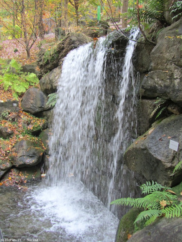 108716-trautmannsdorf-garten-meran-28.10.2013-123.jpg