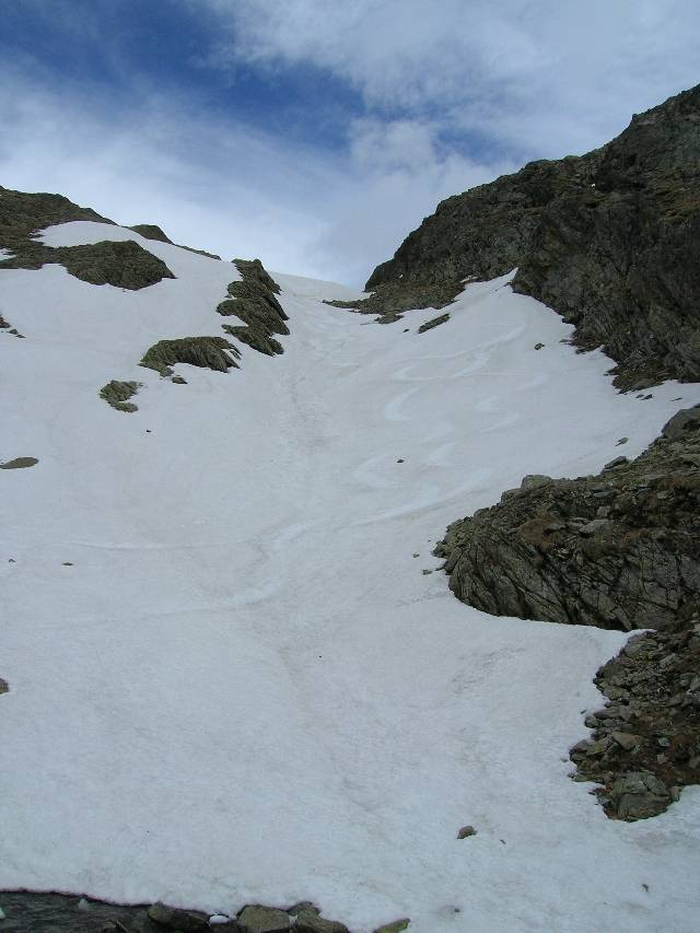 109-gavia2.jpg