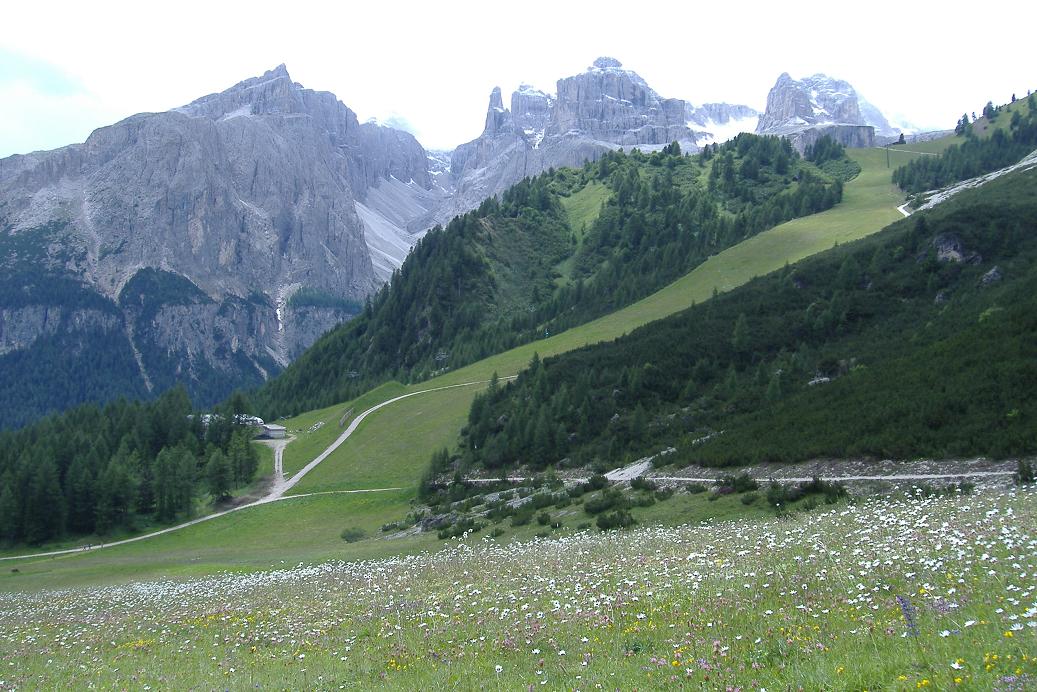 10941-sella-alpina.jpg