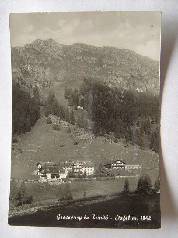 109757-staffal.jpg